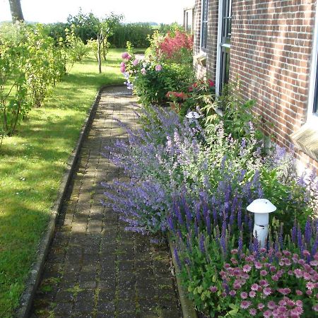 B&B Op De Vlakte Oosternijkerk Eksteriør billede