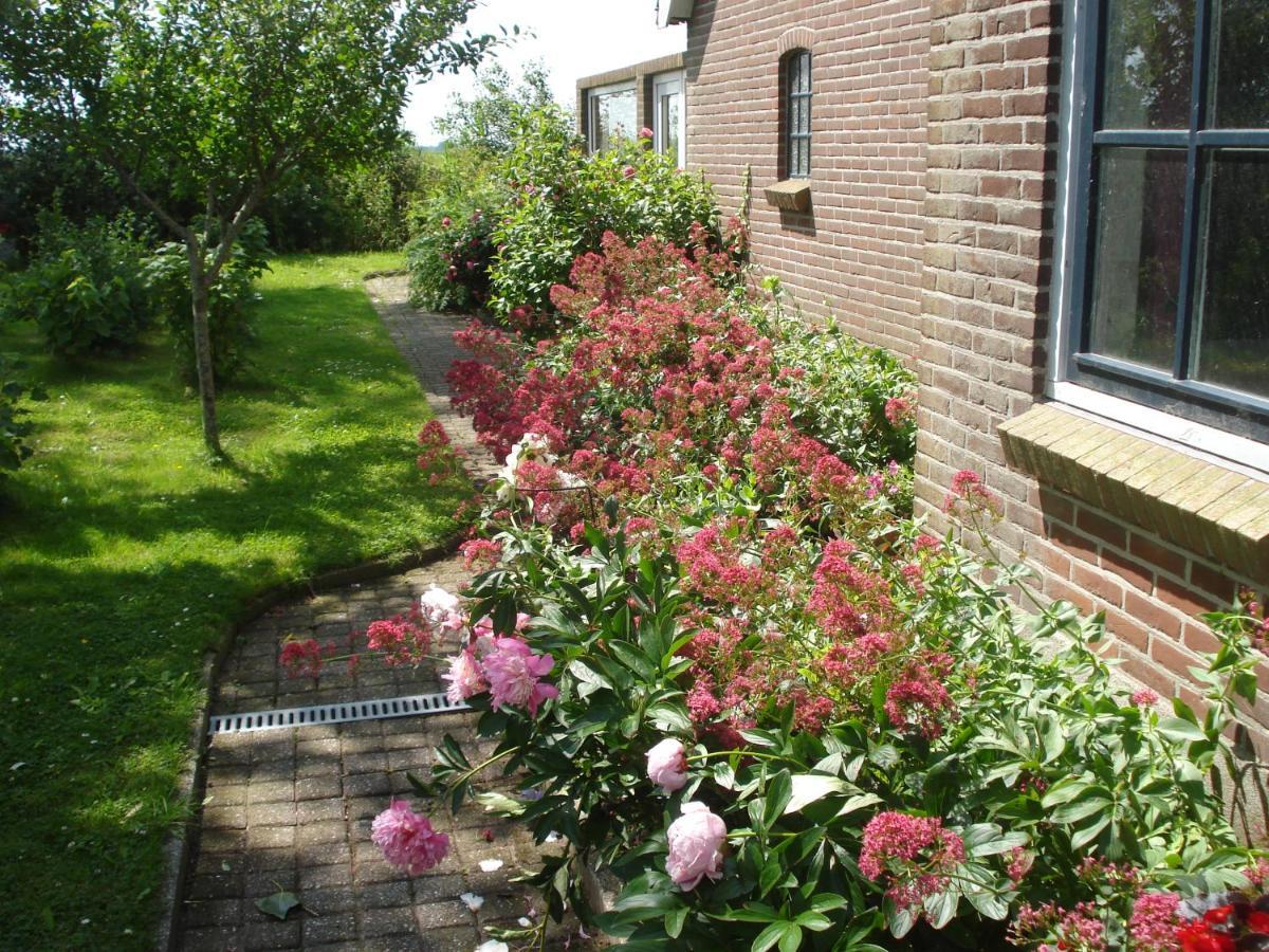 B&B Op De Vlakte Oosternijkerk Eksteriør billede